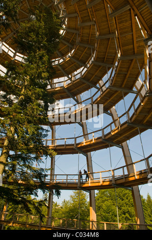 La plate-forme de l'arbre, 44 mètres de haut, la plus longue du monde Tree Top walk, sans obstacles, sous forme de spirale, Neuschoenau Banque D'Images