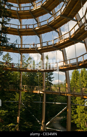 La plate-forme de l'arbre, 44 mètres de haut, la plus longue du monde Tree Top walk, sans obstacles, sous forme de spirale, Neuschoenau Banque D'Images