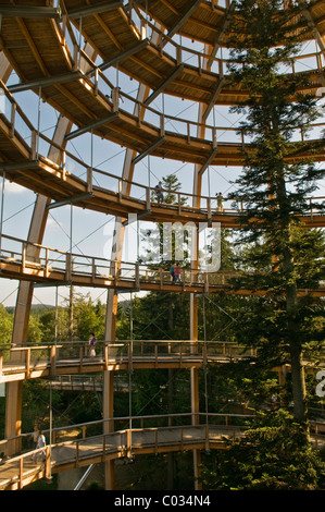 La plate-forme de l'arbre, 44 mètres de haut, la plus longue du monde Tree Top walk, sans obstacles, sous forme de spirale, Neuschoenau Banque D'Images