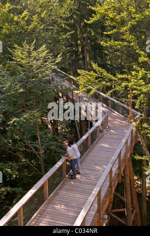 World's longest Tree Top walk, vue depuis les 44 mètres de haut de la plate-forme de l'arbre, Neuschoenau, Parc National de la Forêt Bavaroise, la Bavière Banque D'Images