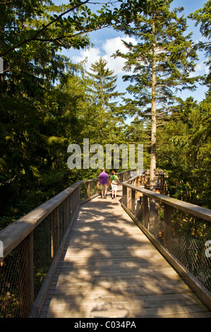 World's longest Tree Top walk, Neuschoenau, Parc National de la forêt bavaroise, Bavaria, Germany, Europe Banque D'Images