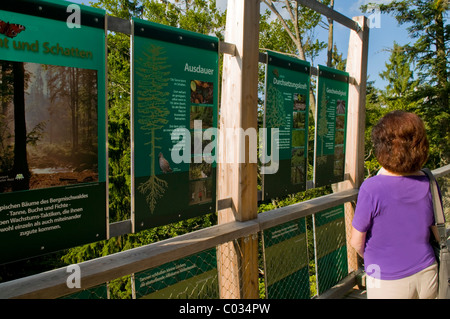 Un des nombreux panneaux d'information le long de la plus longue du monde Tree Top walk, Neuschoenau, Parc National de la Forêt Bavaroise, la Bavière Banque D'Images