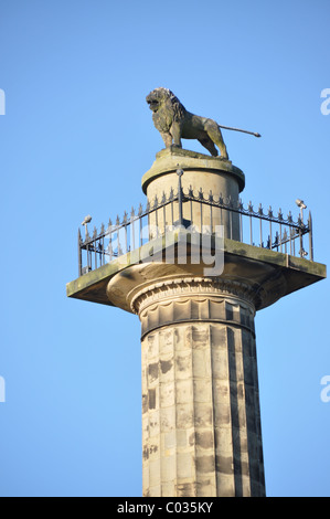 Locataires d'Alnwick colonne Percy Lion Banque D'Images