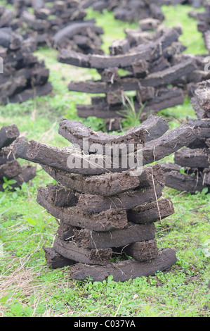 Des piles de briquettes de tourbe utilisée comme combustible dans des maisons privées sont séchées par les citoyens eux-mêmes, à Birr, Leinster Banque D'Images