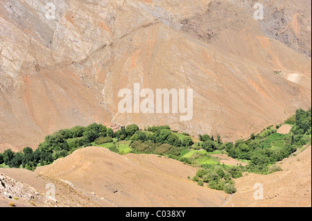 La vallée de la rivière avec le règlement, de petits champs et arbres, Haut Atlas, Maroc, Afrique Banque D'Images