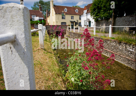 Le village de east meon situé dans la vallée de meon hampshire , sur la photo en haut de la rivière meon est l'ye old pub George Banque D'Images