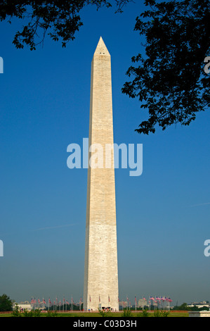 Le Monument de Washington, Washington DC, USA Banque D'Images