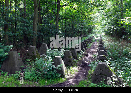 Barrière réservoir du mur de l'Atlantique de 1943, dents de dragon à Zoutelande, Walcheren, Zélande, Pays-Bas, Benelux, Europe Banque D'Images