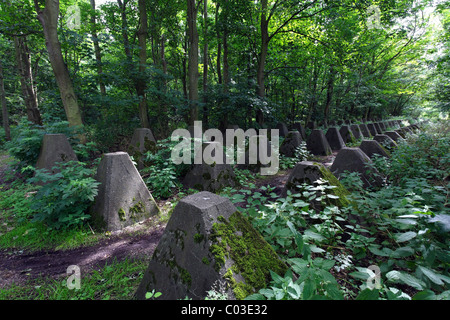 Barrière réservoir du mur de l'Atlantique de 1943, dents de dragon à Zoutelande, Walcheren, Zélande, Pays-Bas, Benelux, Europe Banque D'Images