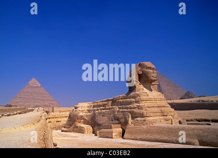 L'Egypte, Gizeh, sphinx et pyramides Banque D'Images