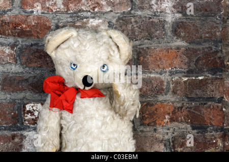 Vieux ours en peluche avec un ruban rouge pour la vente, marché d'antiquités, Middelburg, presqu'île de Walcheren, province de Zélande, Pays-Bas Banque D'Images