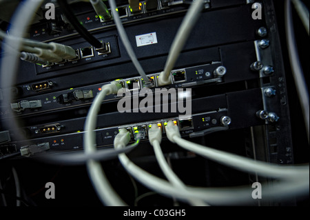 Server avec des câbles ethernet. Banque D'Images