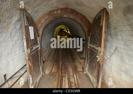 Mine de sel de Hallstatt, Empress Christina Stollen gallery, Salzkammergut, Haute Autriche, Europe Banque D'Images