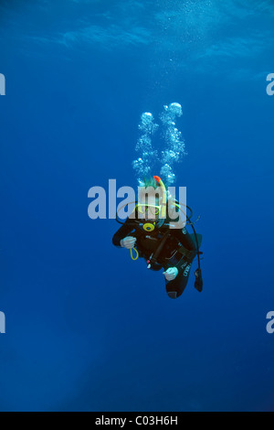Scuba Diver plongée dans l'eau bleue dans la mer Rouge, Marsa Alam, Red Sea, Egypt, Africa Banque D'Images