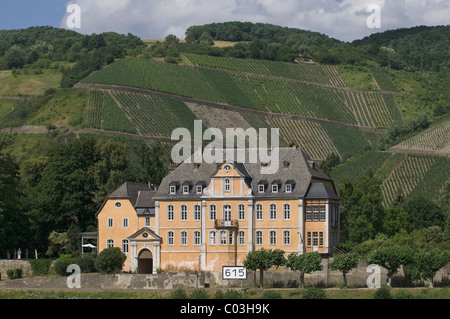 Schloss Marienburg, palais baroque en face de vignes, Leutesdorf, Rhin, Rhénanie-Palatinat, Allemagne, Europe Banque D'Images