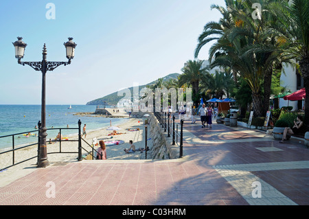 Promenade de la plage, palmiers, Santa Eulalia des Riu, Ibiza, Pityuses, Iles Baléares, Espagne, Europe Banque D'Images