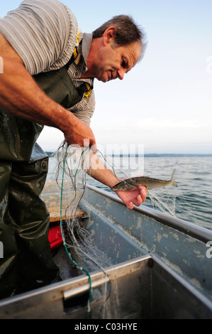 Le pêcheur Johann Strobl casting pour pêcher sur le Lac de Starnberg, Fuenfseenland salon, Haute-Bavière, Bavaria, Germany, Europe Banque D'Images