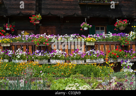 Chalet jardin en face d'un Valais maison Renaissance, Geschinen, canton du Valais, Suisse, Europe Banque D'Images