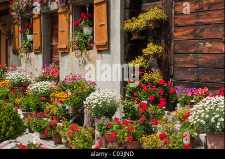 Chalet jardin en face d'un Valais maison Renaissance, Geschinen, canton du Valais, Suisse, Europe Banque D'Images