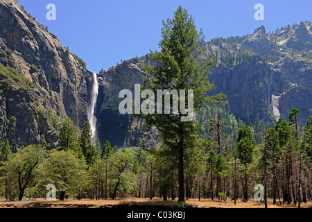 Bridalveil Falls, une cascade de Yosemite National Park, California, USA, Amérique du Nord Banque D'Images