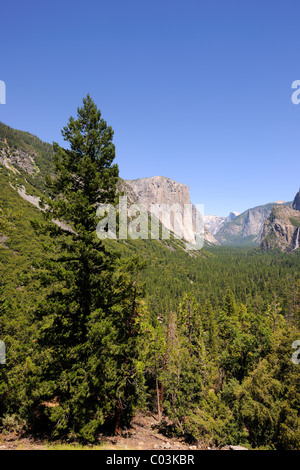 Paysage typique de la Merced River dans la région de Yosemite National Park, California, USA, Amérique du Nord Banque D'Images