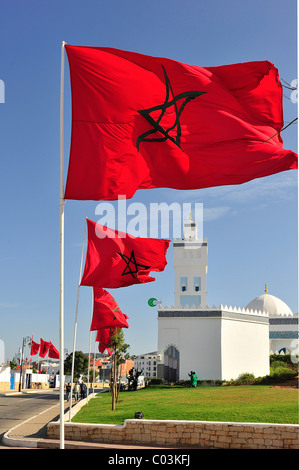 Drapeaux nationaux du Royaume du Maroc devant une mosquée, M'diq, le Maroc, l'Afrique Banque D'Images