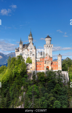 Vue depuis l'Est, le château Le château de Neuschwanstein, Ostallgaeu, Schwaben, Allgaeu, Bavaria, Germany, Europe Banque D'Images