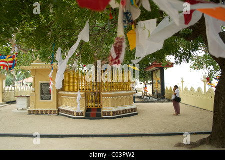 Temple Nagadeepa Nainativu Sri Lanka Jaffna Banque D'Images