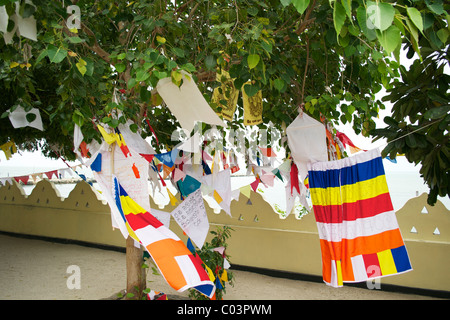 Drapeaux bouddhistes accrochée à un arbre, à Bo sacret temple Nagadeepa Nainativu Jafna Sri Lanka Banque D'Images