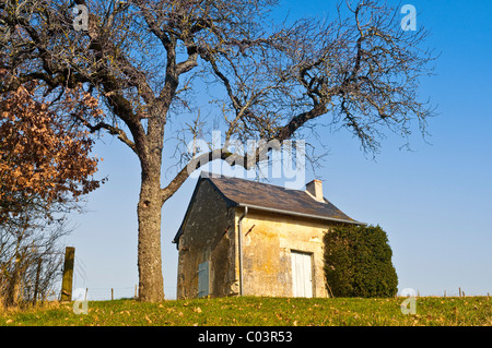 Petite maison sur la colline de berger- France. Banque D'Images