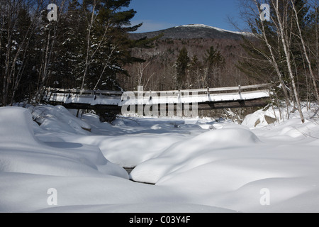 Passerelle le long du sentier des chutes Thoreau dans le désert de Pemigewasset New Hampshire pendant les mois d'hiver. Banque D'Images