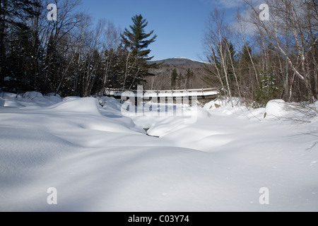 Passerelle le long du sentier des chutes Thoreau dans le désert de Pemigewasset New Hampshire pendant les mois d'hiver. Banque D'Images