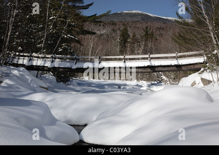 Passerelle le long du sentier des chutes Thoreau dans le désert de Pemigewasset New Hampshire pendant les mois d'hiver. Banque D'Images