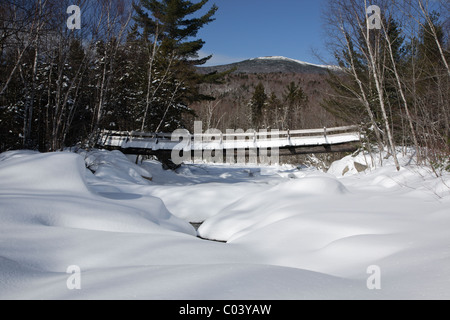 Passerelle le long du sentier des chutes Thoreau dans le désert de Pemigewasset New Hampshire pendant les mois d'hiver. Banque D'Images