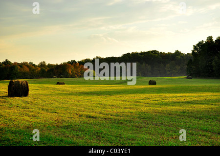 Balles de foin rondes dans le comté de Montgomery, l'État de New York. Banque D'Images