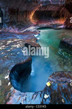 Le métro. Fourche gauche Ruisseau du Nord. Zion National Park, Utah. Banque D'Images