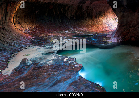 Le métro. Fourche gauche Ruisseau du Nord. Zion National Park, Utah. Banque D'Images