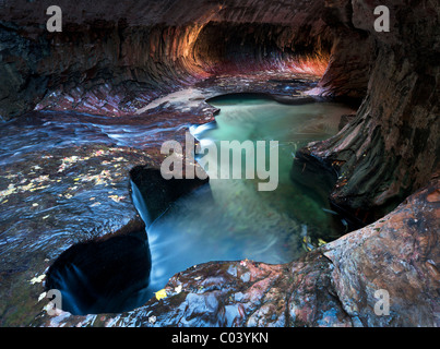 Le métro. Fourche gauche Ruisseau du Nord. Zion National Park, Utah. Banque D'Images