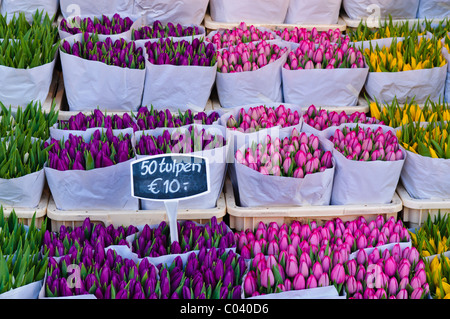 Tulipes en vente à l'Bloemenmakrt Marché aux fleurs à Amsterdam Banque D'Images