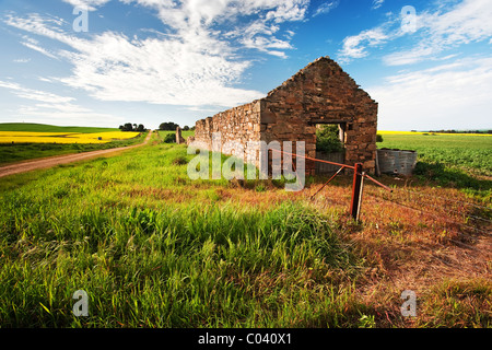 Le Moyen Nord, des champs de colza, de l'Australie du Sud Banque D'Images