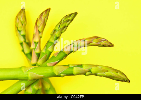 Les pointes d'asperges fraîches sur fond jaune - arrangement de style très détaillé - 24 mégapixels haute qualité d'image non cultivées Banque D'Images