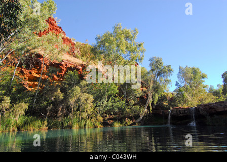 Fern piscine dans le parc national de Karijini, Australie occidentale Banque D'Images