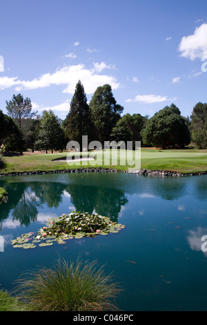 Golf International de Wairakei, Taupo, Nouvelle-Zélande Banque D'Images