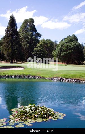 Golf International de Wairakei, Taupo, Nouvelle-Zélande Banque D'Images