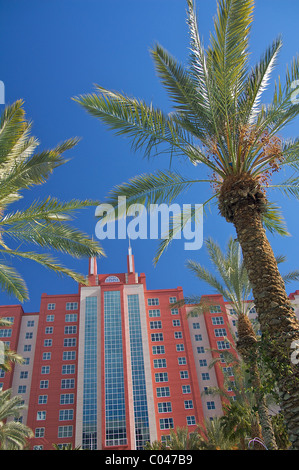 Jusqu'à l'égard des palmiers de l'hôtel Hilton Grand Vacations Club at the Flamingo de Las Vegas Banque D'Images