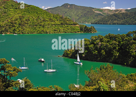 Whenuanui Bay de la Queen Charlotte Drive, Queen Charlotte Sound, Marlborough Sounds, Marlborough, île du Sud, Nouvelle-Zélande Banque D'Images