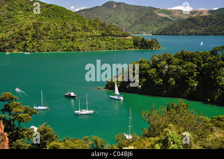 Whenuanui Bay de la Queen Charlotte Drive, Queen Charlotte Sound, Marlborough Sounds, Marlborough, île du Sud, Nouvelle-Zélande Banque D'Images