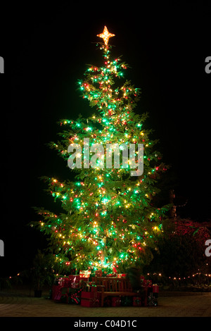 Entièrement allumé un arbre de Noël dans les Jardins Butchart à Victoria, BC, Canada. Banque D'Images