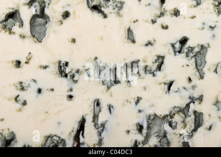 Veiné bleu pleins gros soft fromage français contexte ou la texture. Banque D'Images