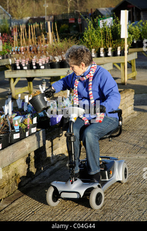 Scooter de mobilité d'une circonscription d'utilisateur ultra light machine fonctionnant sur batterie dans un centre jardin La machine est d'auto assemblage Banque D'Images